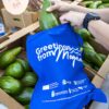 Feria del Mango y el Aguacate de Mogán récord de ventas y asistencia